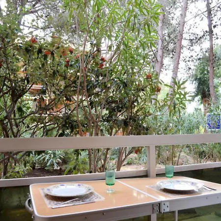 Cote D'azur 4 Bormes-les-Mimosas